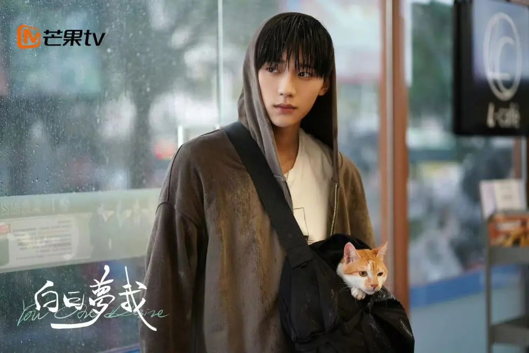 《白日梦我》总制片人王晗簏:双向救赎的治愈,献给z世代的青春 - 娱乐