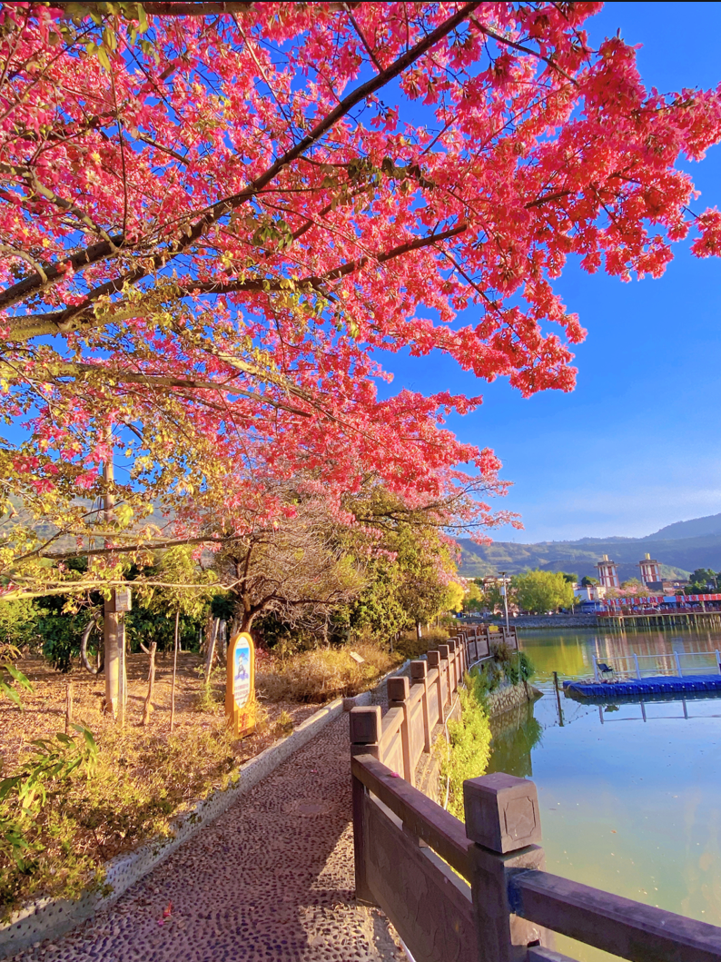 攀枝花|攀枝花，一个被低估的旅游和康养胜地！
