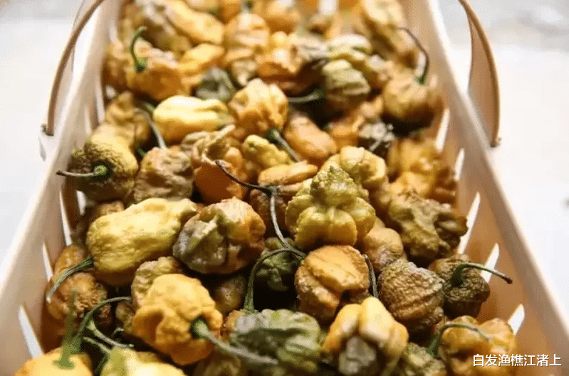 辣椒|「辣椒X」登顶世界最辣 吃一颗腹痛3小时