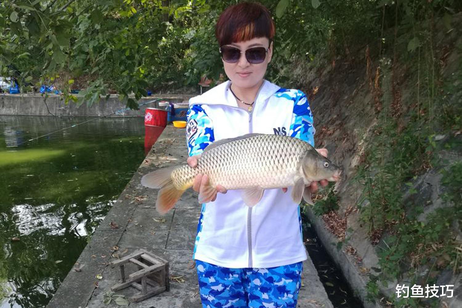 鲫鱼|泡泡球鱼饵的效果如何?泡泡球鱼饵的钓鱼场景和使用技巧