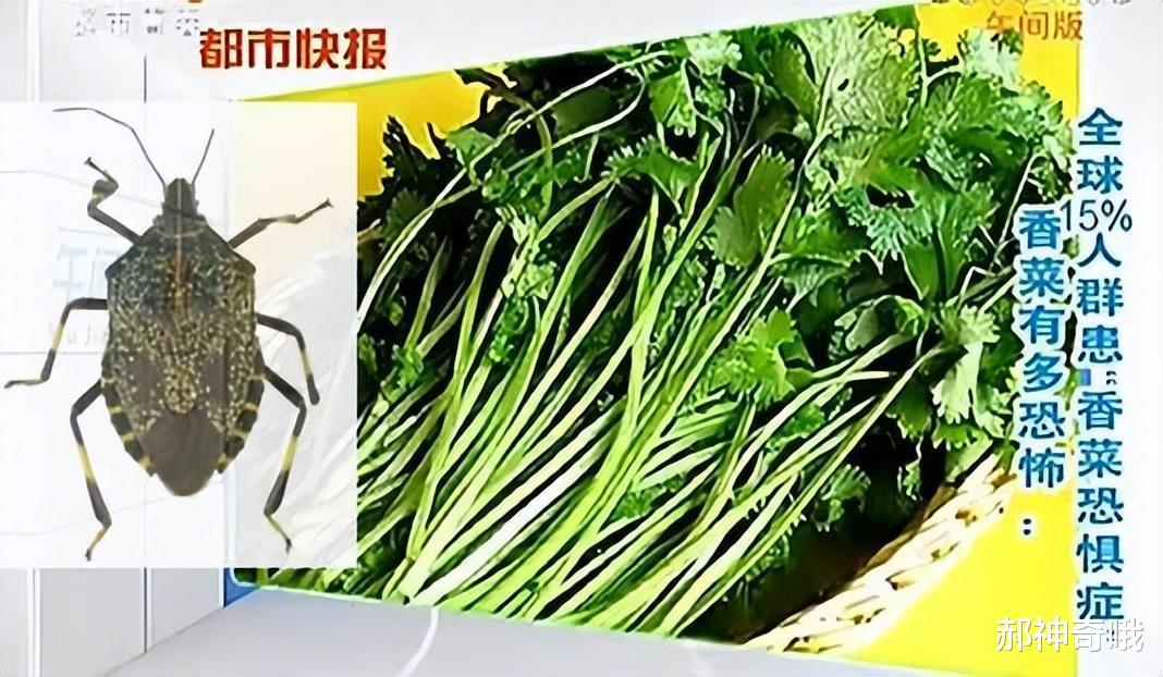 洋葱|中国“最难吃”的6种蔬菜,吃过一半是牛人,全吃过是大神