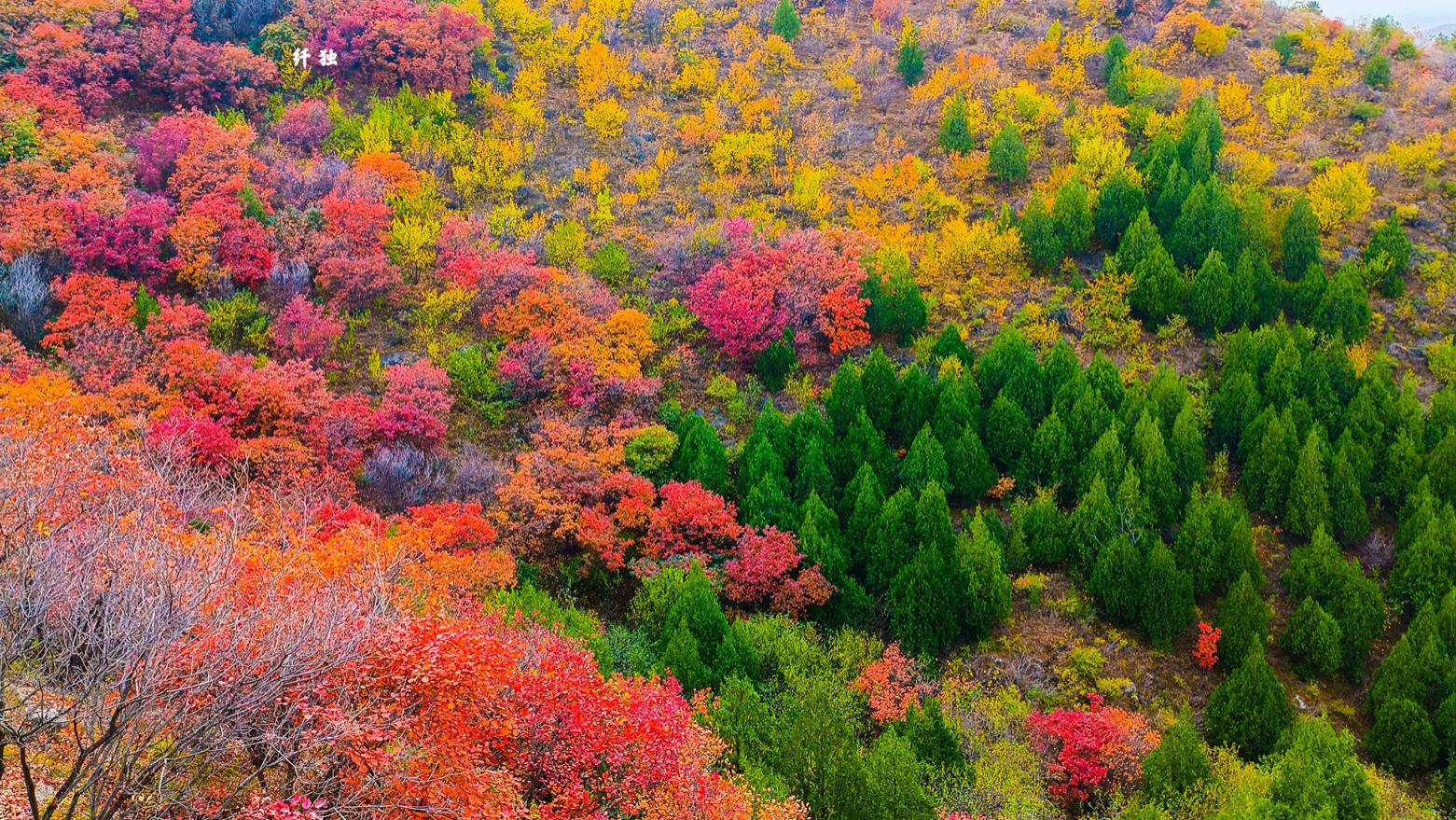 |舞彩浅山，秋天的画盘