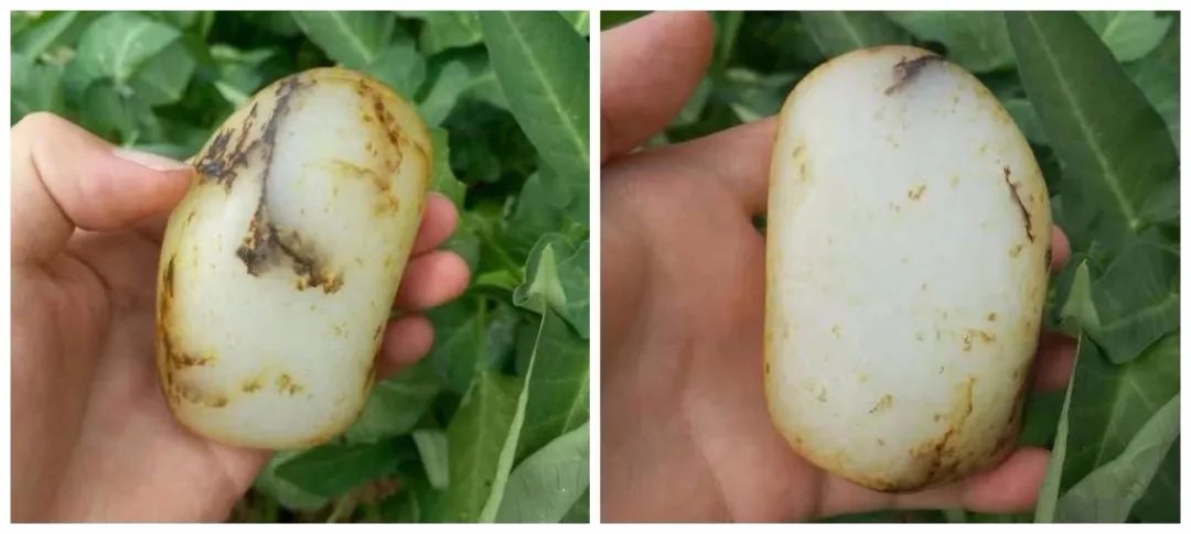 翡翠|白、粉、青、碧、红,2023哪个玉种更受追捧?