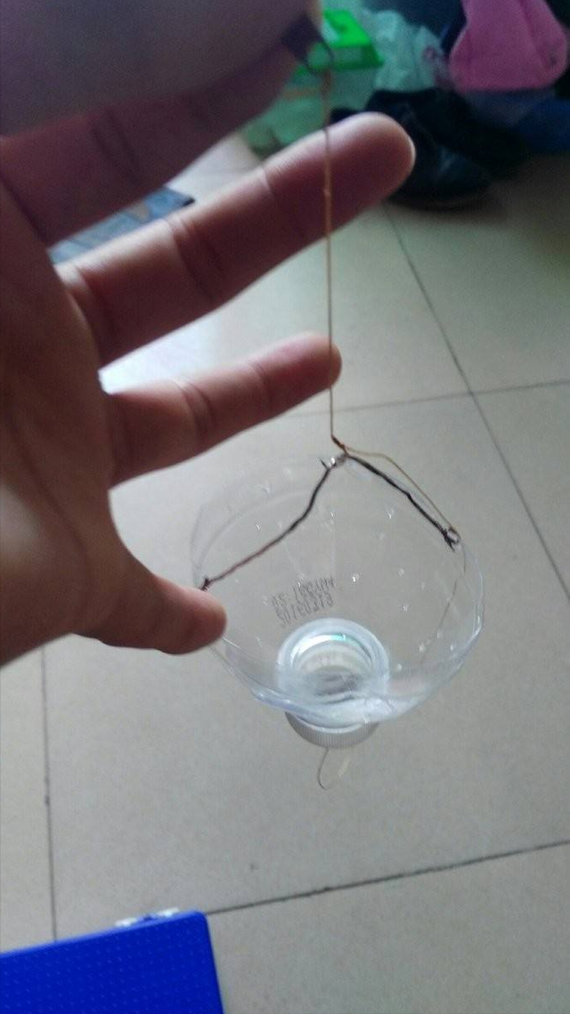 饵料|春季野钓酒米运用技巧,效果提升一倍