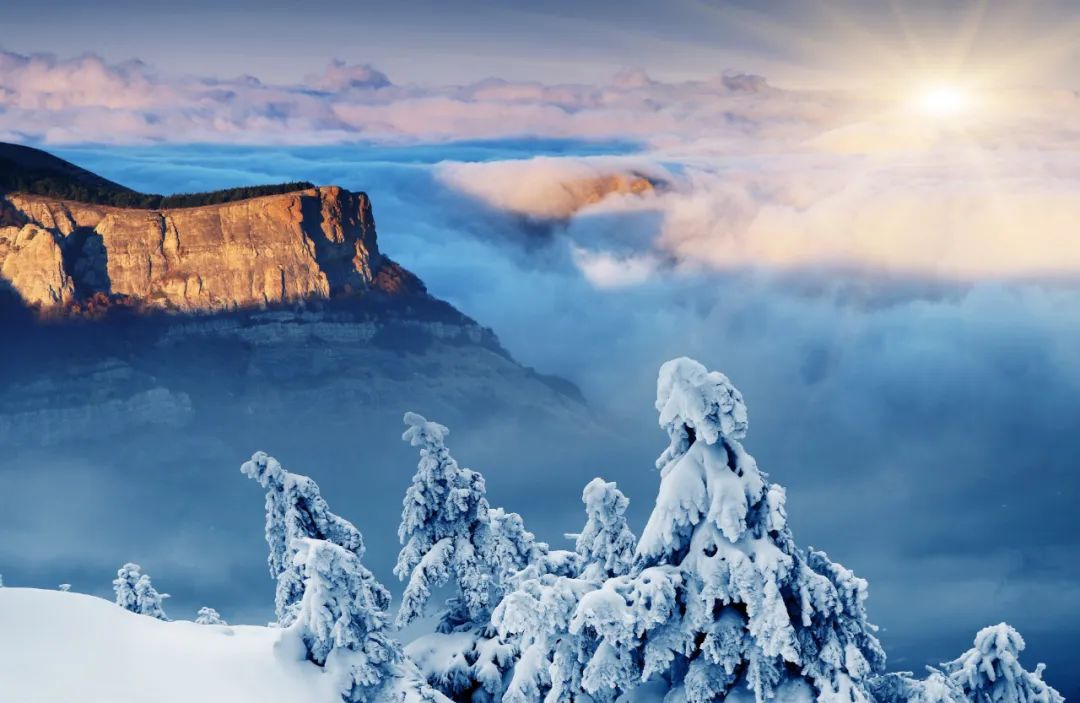 狮子座|3月2日后，紫气东来，桃运不错，事业上升，平安顺遂的3个生肖