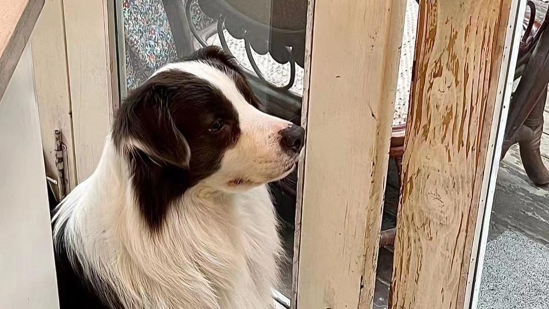 快乐|“我不知道如何处理我的生活”：如何驾驭这种感觉