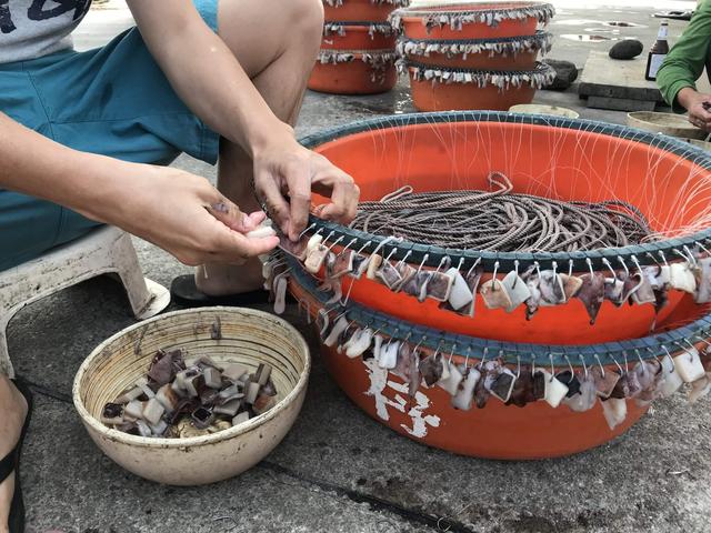 为何钓了8千多斤鱼,被钓鱼人举报后,判刑还被罚款40余万?