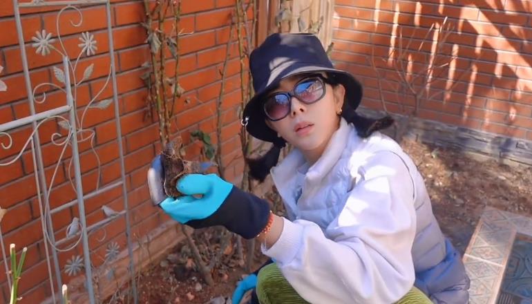 李思思|李思思:全家一起打理小花园,结婚12年首次让其神秘老公出镜