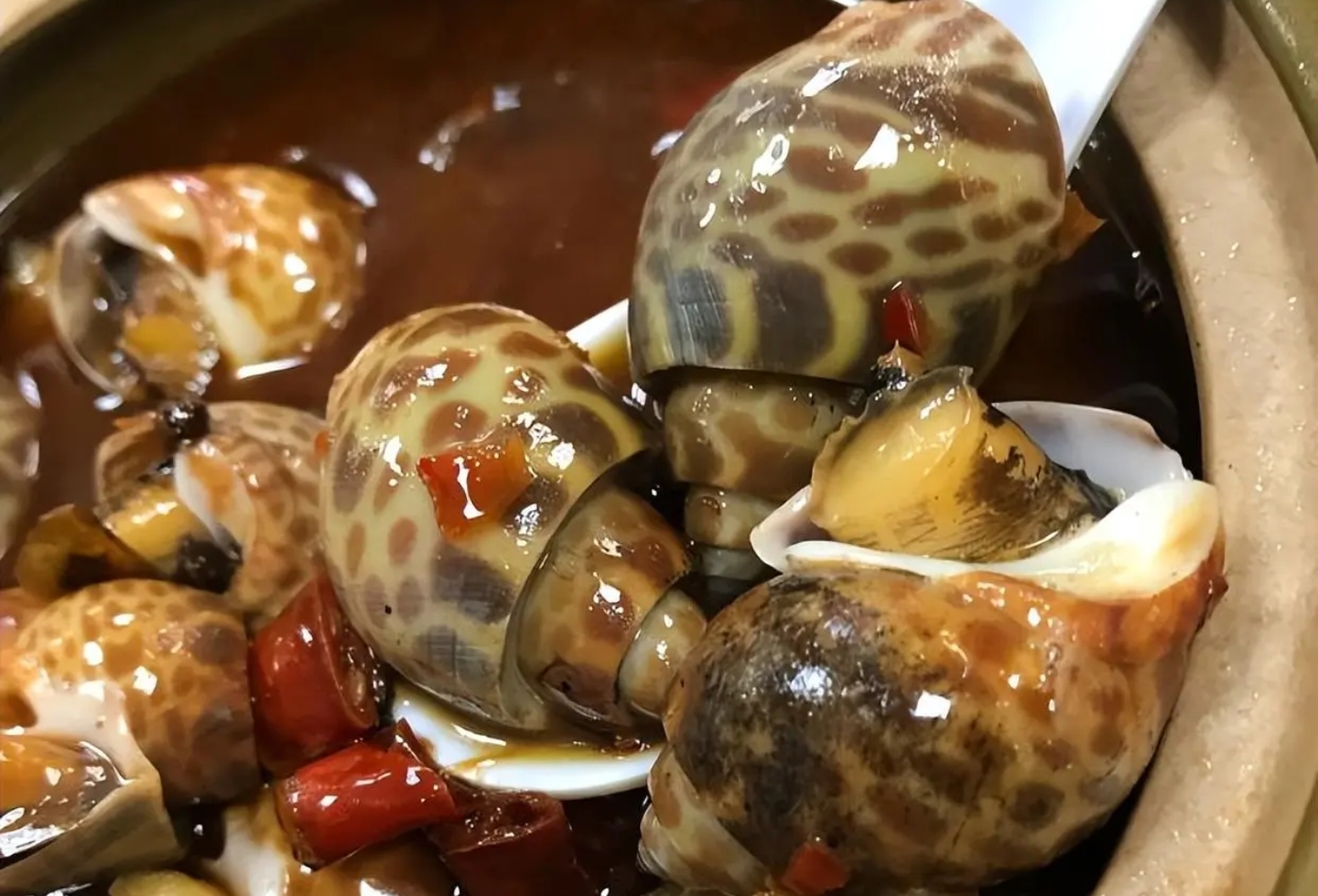 上海市|8个河北人来上海饭店吃海鲜，晒出菜单怀疑被宰，网友：不识货