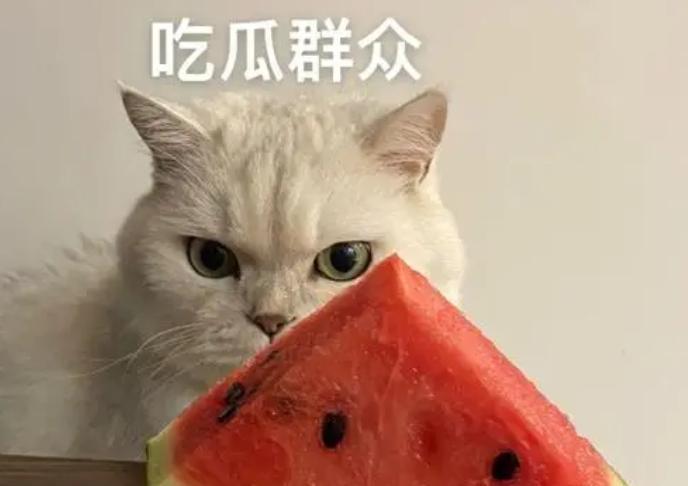 李一桐|曝电眼影帝出轨搞私生子，老婆出手把孩子打掉，梁朝伟刘嘉玲躺枪