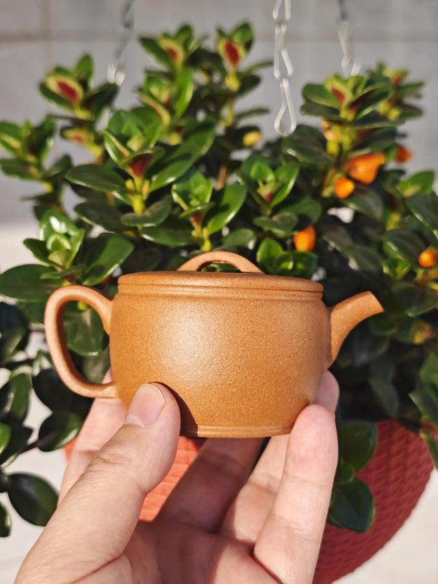 |紫砂壶为何会出现惊裂?