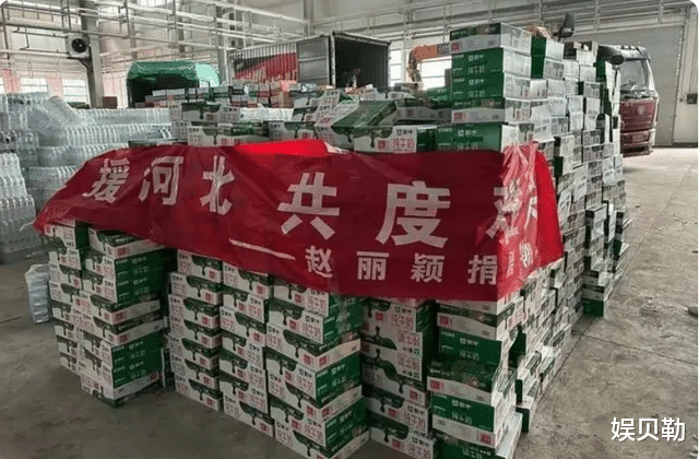 赵丽颖为灾区捐款，慷慨大方心思细腻，张铁林等河北籍未捐款明星被吐槽