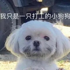 一杯奶茶的职场文学