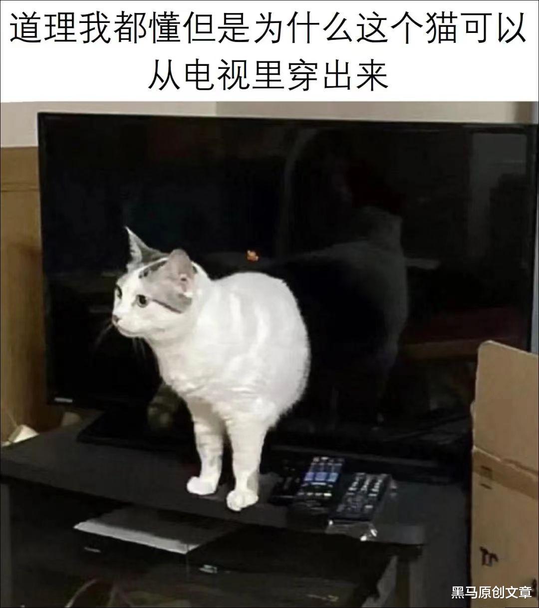 职场心理契约与承诺（二）：给管理者的九条建议