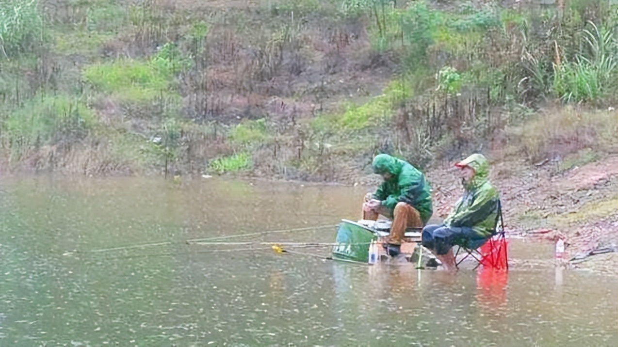饵料|春季钓不住鱼的原因有哪些?多数原因即使高手遇到也无能为力