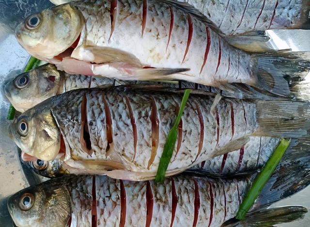 牛肉丸|买鲫鱼，要分清“土鲫”和“工程鲫”，差别挺大，买错难吃不鲜美