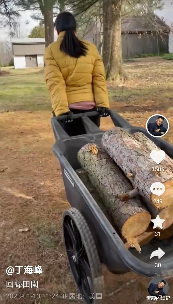 丁海峰|丁海峰：到美国生活是为了更好地砍树和陪伴家人，那个武松还没变