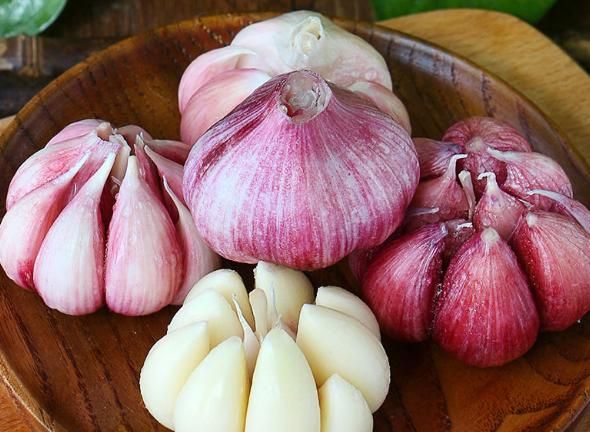 中成药|藏在身边的“阿莫西林”,常吃或能消炎除菌,让你远离慢性咽炎