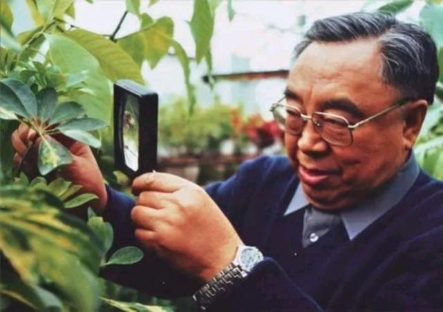 疾病|国医大师张琪，精研肾病50载，被誉为“中医肾病治疗的一座丰碑”