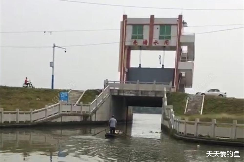 |夏季野钓,找4种万能钓位,白天晚上都上大鱼