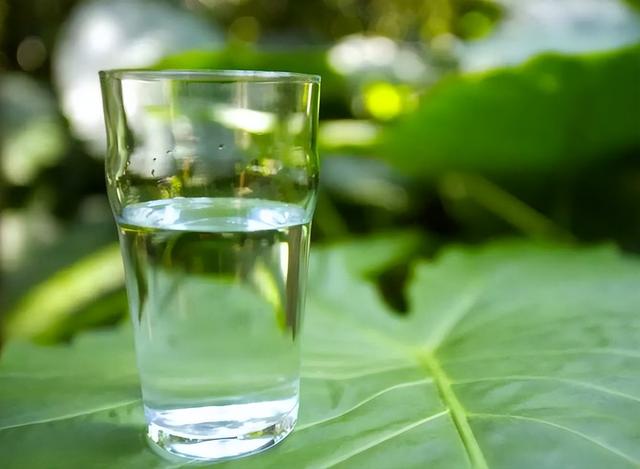 睡眠|长期喝白开水与长期喝茶的人相比,谁的身体更健康?医生说出答案