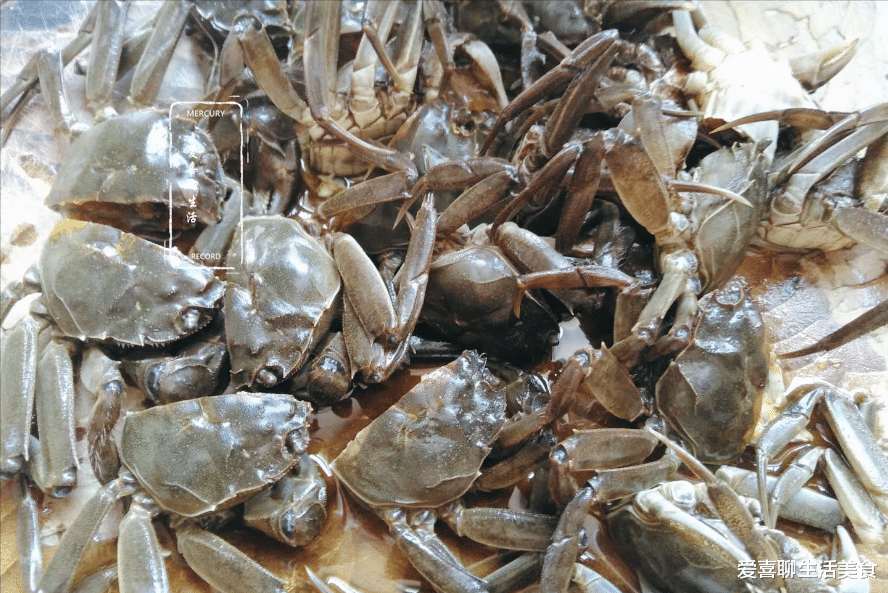 螃蟹|比鱼肉鲜美,比大虾便宜!才5块钱一斤,人人吃得起,简单一炒巨好吃!