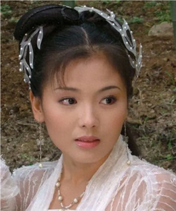 贤妻刘涛黑历史被扒出,被人公开指责:她技术很好,只求上位