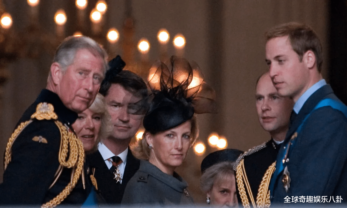英国|查理三世在加冕仪式前，解决了棘手的家族头衔问题