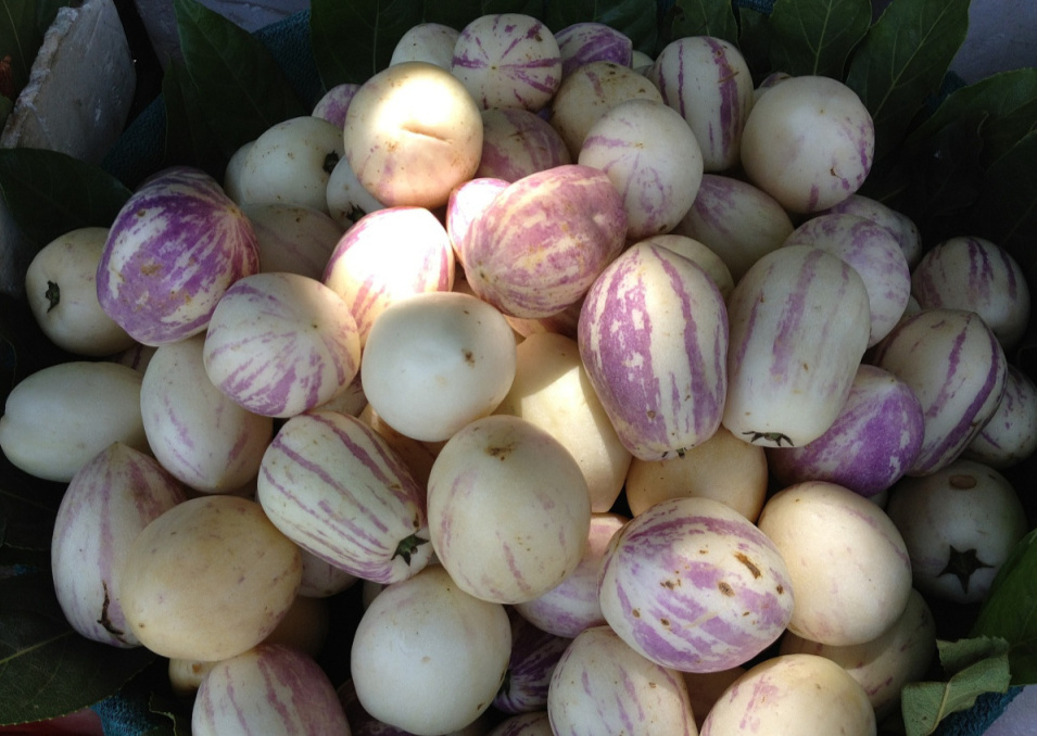 经常吃点人参果,4个好处或不请自来,但有4类人不要“随便吃”