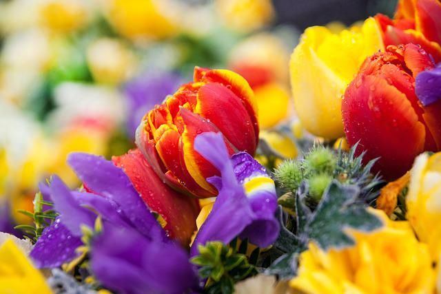 汶川|花烂漫不等人，分享几个春日好花景，一同开启赏花之旅！