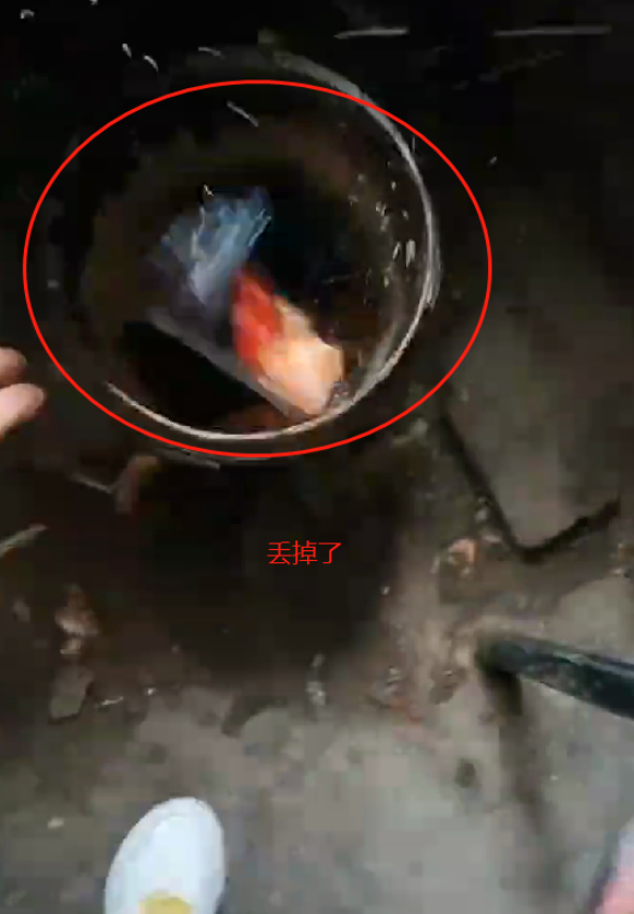 烤肉|不爱吃不能扔吗？一盒寿司引起口水大战，母亲陷入众矢之的