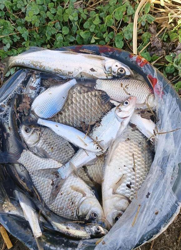 水库|可月入过万?挑战钓鱼卖鱼维持生活在垂钓圈兴起,靠谱吗?