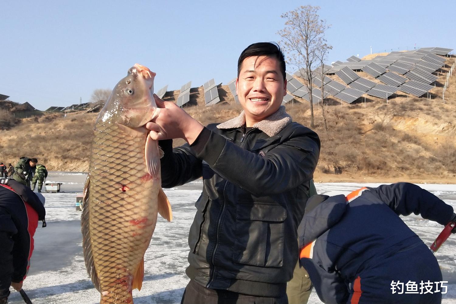 鲤鱼|野钓鲤鱼用饵,一年四季都不同,春夏秋冬野钓鲤鱼饵的分类盘点