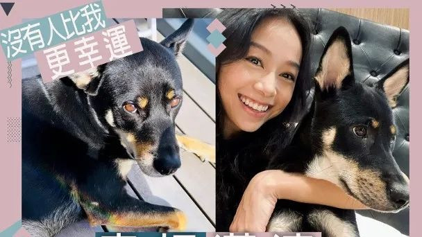 与大14岁男友结婚且是双喜临门？黄心颖晒定情犬疑以16字吐心声