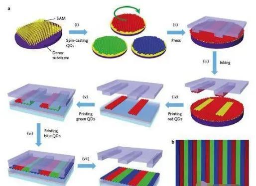 TCL|画质标杆千元神机:TCL C11G正式发布,引领2023量子点电视元年