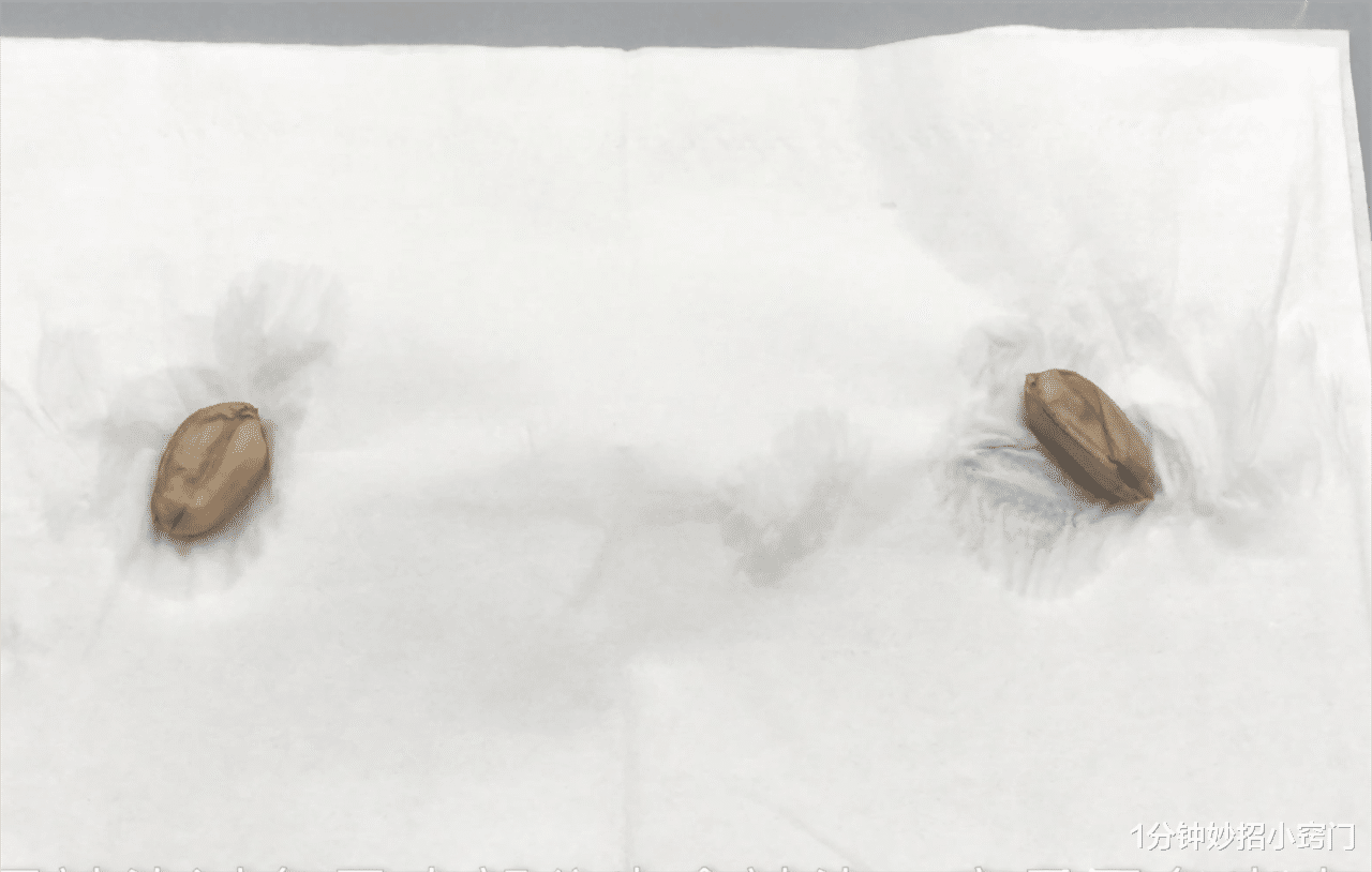 |花生米家里还有买吗?多忙都看看,现在清楚还来得及,不懂亏大了