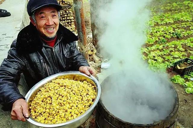 玉米|春末夏初钓大鱼季来临,专钓大鱼的发酵玉米制作方法免费奉献