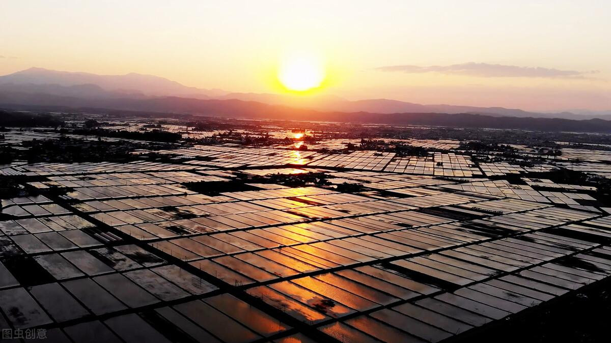 河源|生性冷僻，没有社交，独来独往的人