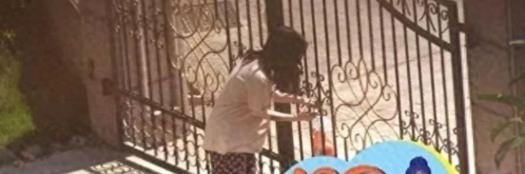 爆料!姐弟恋实锤,女方怀孕了,并在别墅养胎?是真实的么