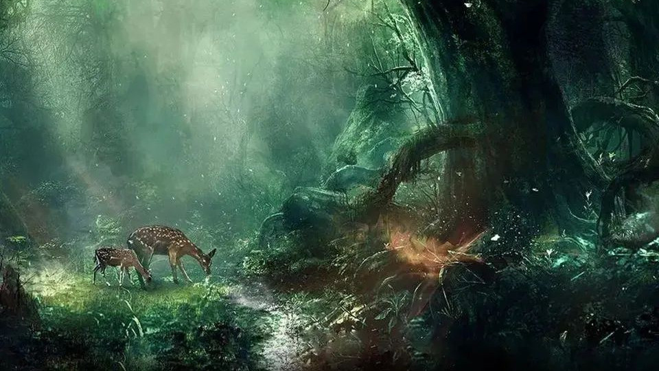 林深|玉赏 ▏林深时见鹿