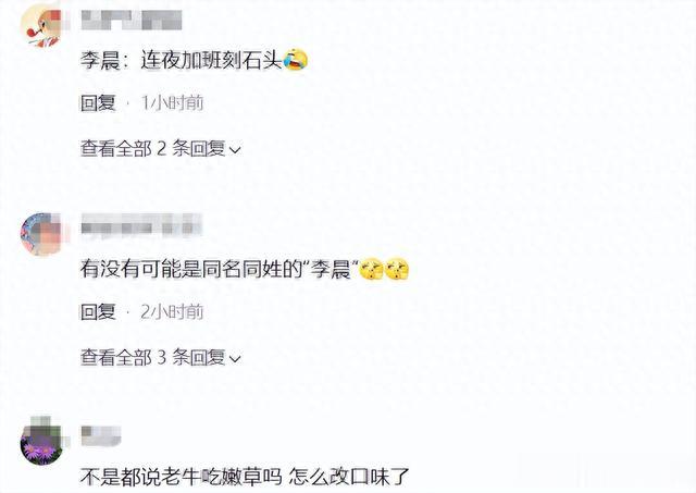 李晨闫妮这次真是离了个大谱！ 官宣了！！