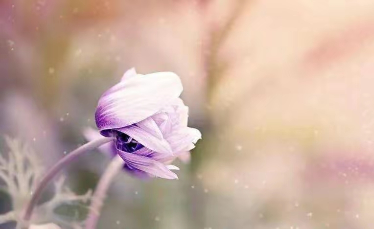 情感|同事之间，需要用感情去深交吗？