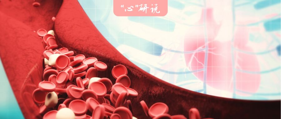 霍勇：一年打两针，降血脂治疗迎来新篇章