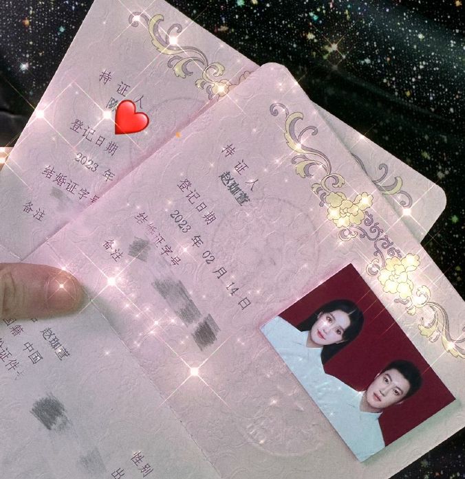 发际线|球球领证现场照曝光,女方额头圆润小陈太秀气,被指像两个假人