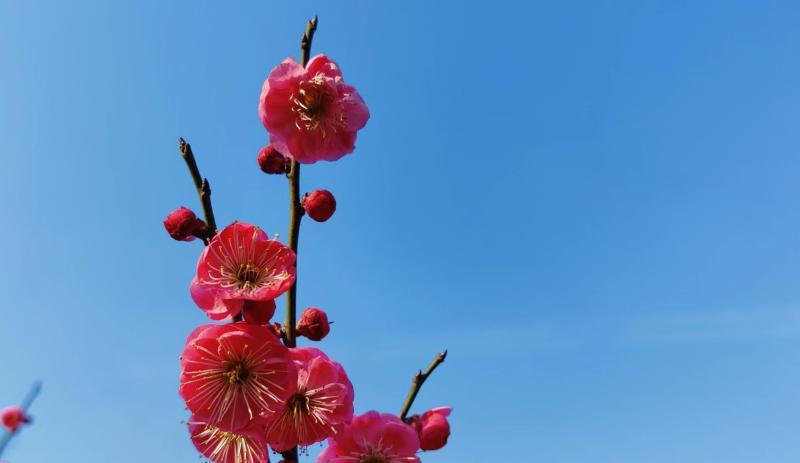 求职|到底是什么导致我们那么在意别人的看法?