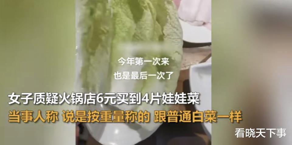 娃娃菜|火锅店4片白菜卖6元，女子愤怒：这在我们当地两毛钱一斤