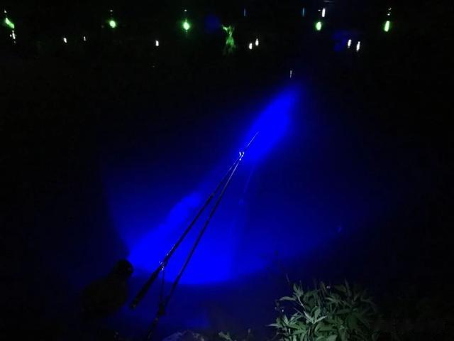 鲤鱼|野河鲤鱼“泛滥”却钓不到？十八般武艺全用上，不信还空军！