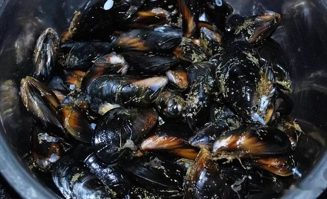 海鲜|逛菜市场时,这6样东西最好别买,基本都是假的,买了就是上当!