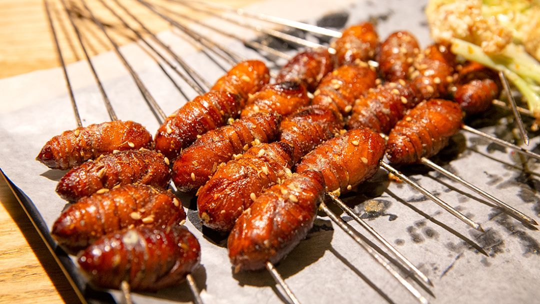 民间流传一句话,七个蚕蛹一个蛋,足以看出它的营养之高,若要夏天过得