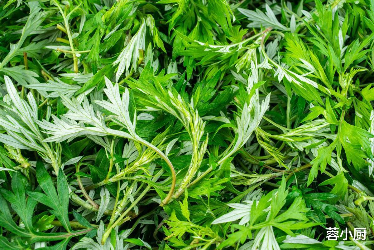 木耳|“天然造血库”不是红枣,而是它!隔天吃一次,活血补血,降肝火